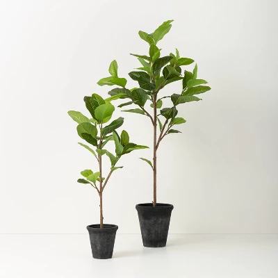 39" Faux Audrey Ficus Tree - Hearth & Hand™ With Magnolia 3 39" Faux Audrey Ficus Tree - Hearth & Hand™ With Magnolia - Image 3
