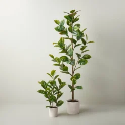 73" Faux Rubber Leaf Tree - Hearth & Hand™ With Magnolia -Household Promotion Series GUEST 6c20b565 db18 4aa0 adaa 8ad03c3a5063