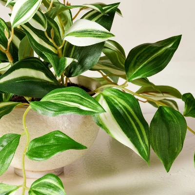 7"x19" Faux Variegated Zebrina Plant - Hearth & Hand™ With Magnolia 2 7"x19" Faux Variegated Zebrina Plant - Hearth & Hand™ With Magnolia - Image 2