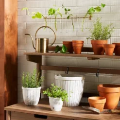 9pc Steel & Glass Plant Propagation Set Gold/Clear - Hearth & Hand™ With Magnolia